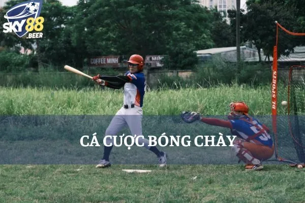 Cá cược bóng chày