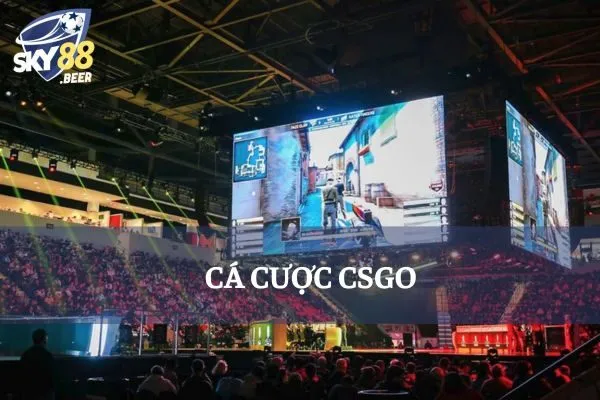 cá cược csgo